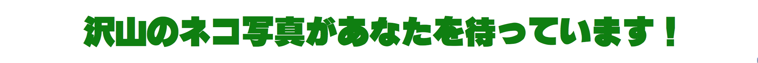 文章イメージ